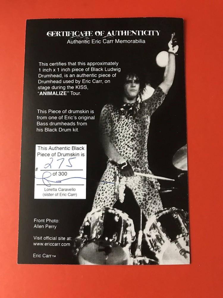 KISS ERIC CARR ANIMALIZE Foxstar Authentic Drum Head Only 1 Available Numbered