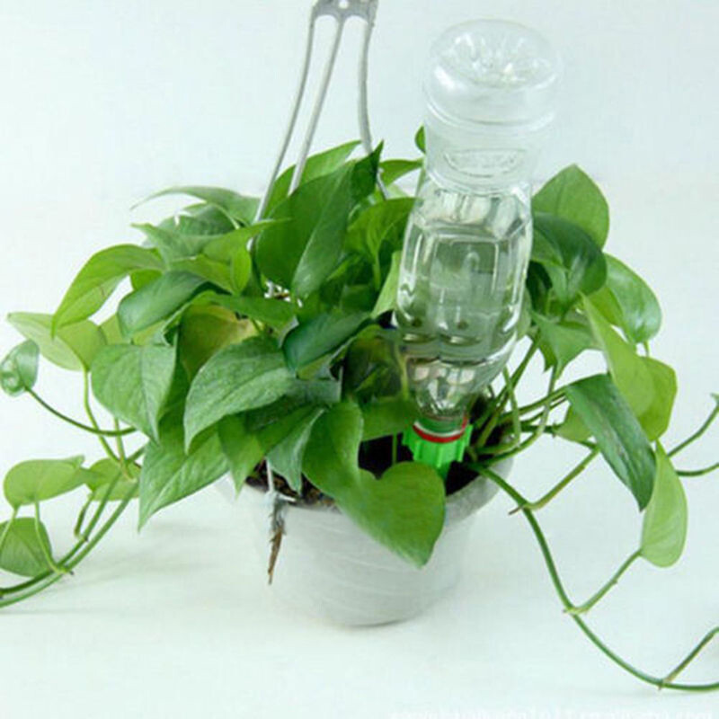 12Pcs Self Watering Spikes Automatic Irrigation Watering Drip System for Plants
