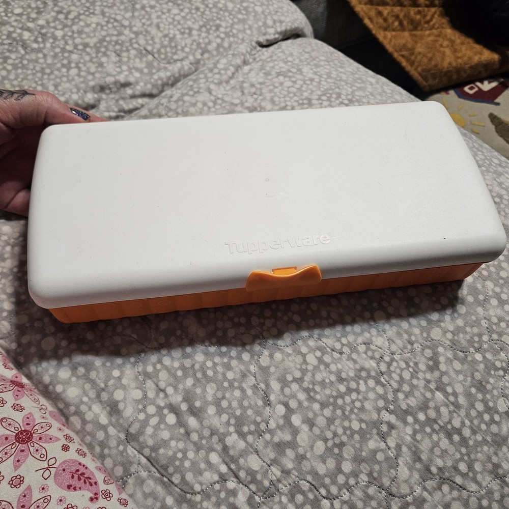 Tupperware Lunch n Things Container Orange 11" By 5" Nifty