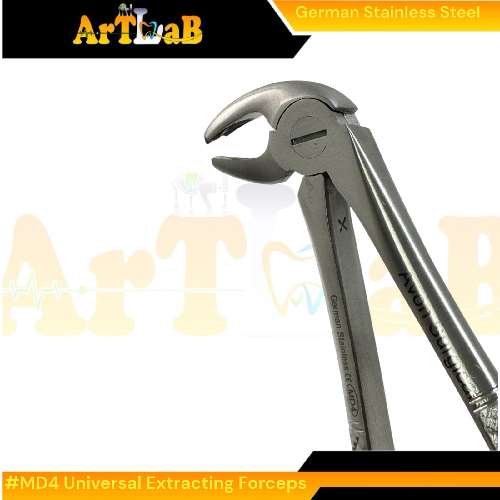 Universal Tooth Extraction Pliers MD4 for Lower Molars - German Stainless Steel
