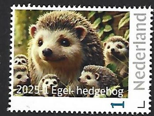 Netherlands 2025-1   Hedgehog      mnh u