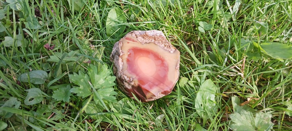 Bruneau Jasper Rough Old Stock