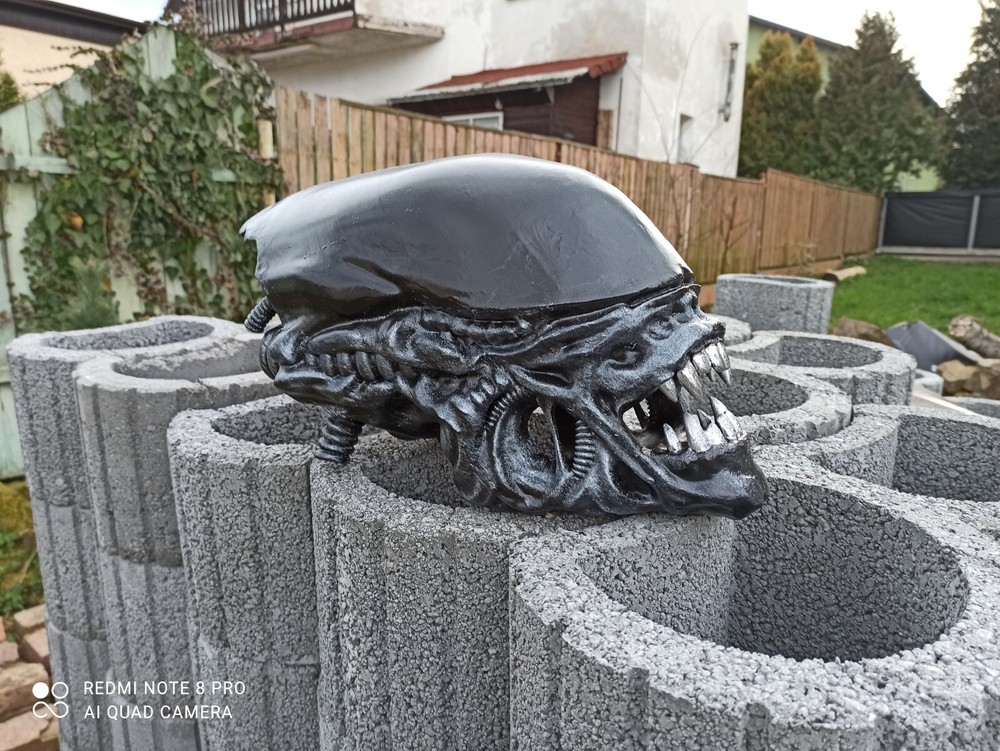 Alien / Xenomorph Romulus bust - head