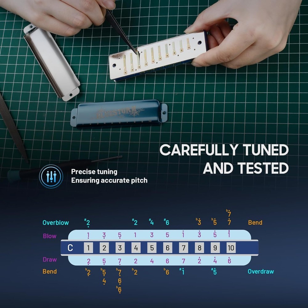 CONJURER Blues Harmonica for Beginner 10 Hole Diatonic Harmonica Phosphor Bronze