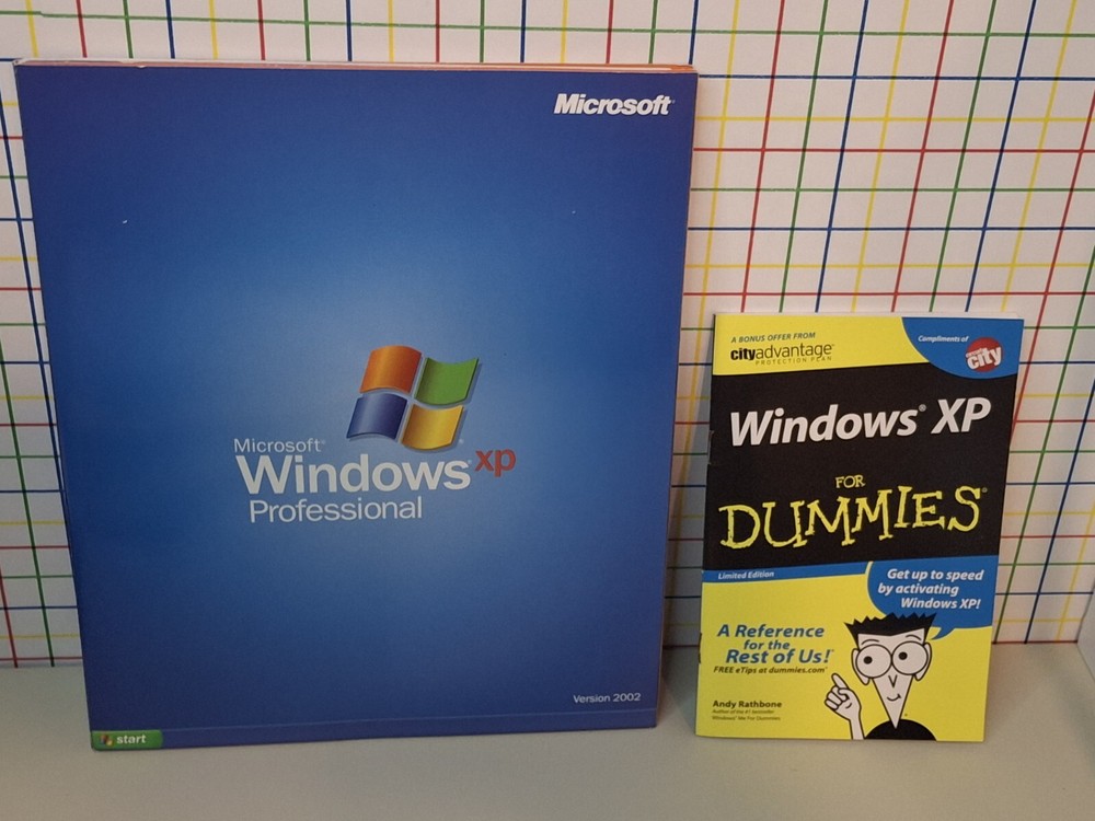Windows XP Professional Includes Bonus Pocket Sized Windows XP For Dummies Book