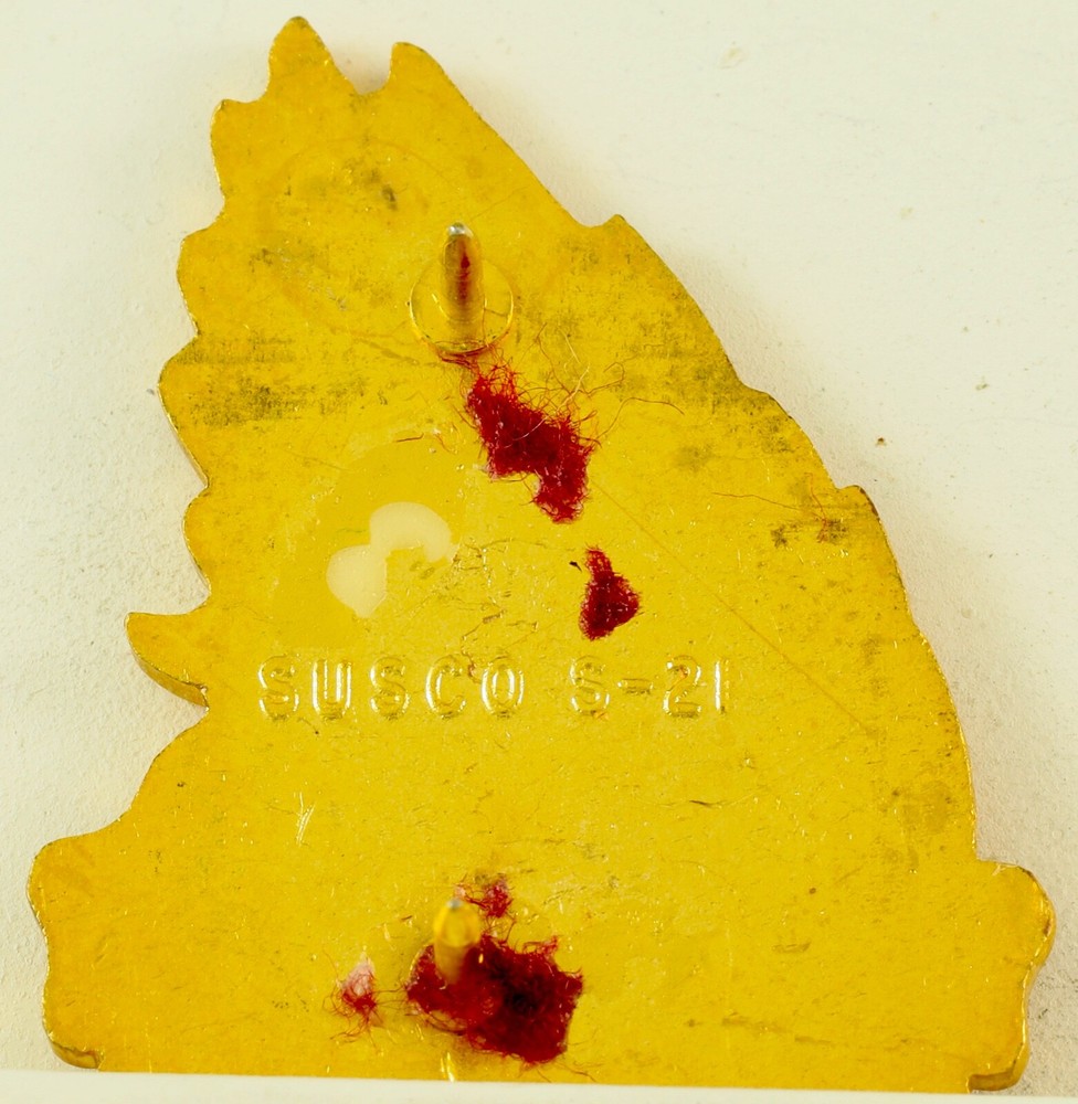 21st Evac Hospital Crest DI/DUI CB