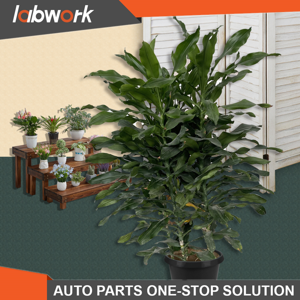 1/2/3/5/7/10/20/25 Gallon Black Plastic Plant Flower Pot Nursery Containers