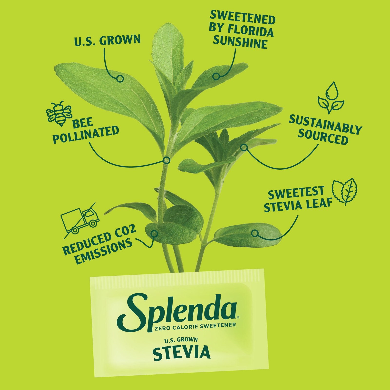Splenda Stevia Sweetener Jar, 19oz