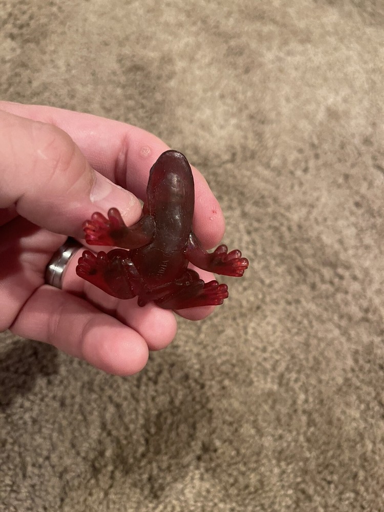 RED TREE FROG Animal Figure