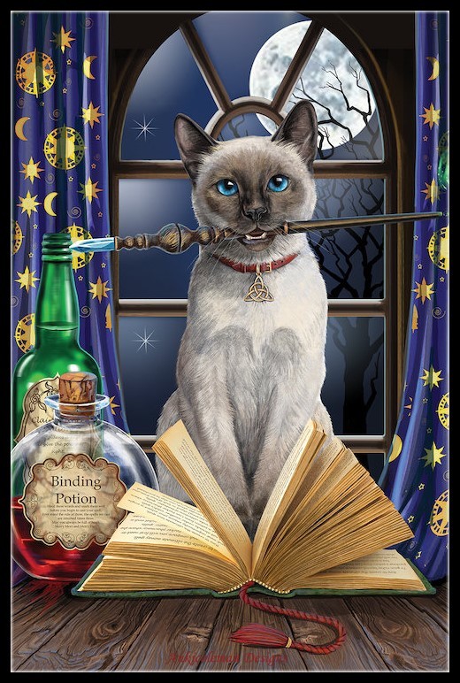 Counted Cross Stitch Kits Needlework Crafts DIY - Hocus Pocus