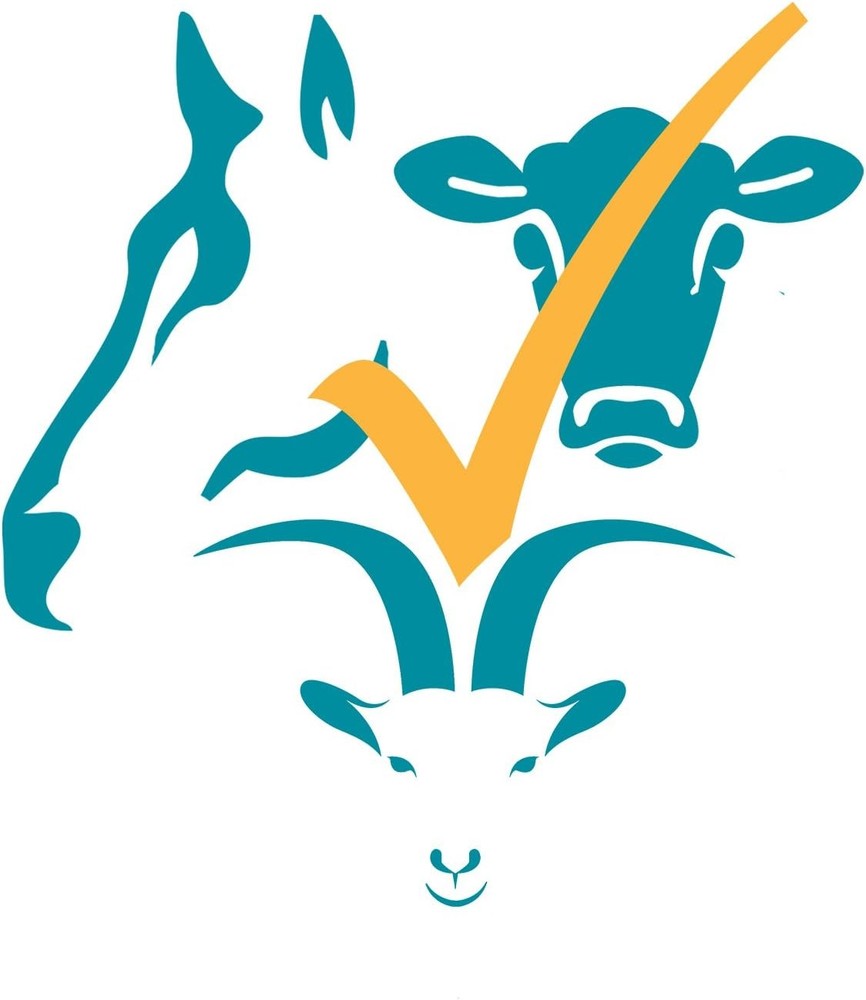 McMaster Method Microscope Slide - FEC (Fecal Egg Count) or Worm Count, Double C