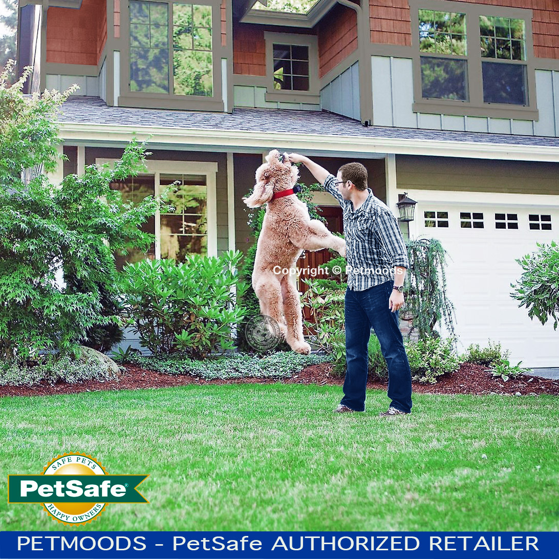 PetSafe RFA-67D-11 Batteries Wireless Dog Fence Collar PIF-275-19 PUL-275 Qty 6