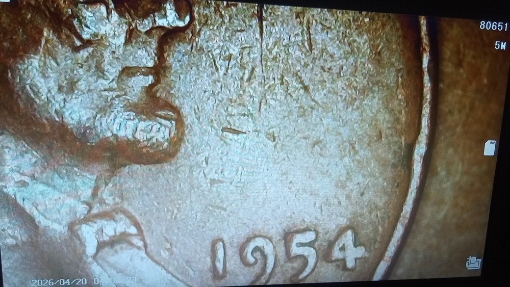 1954 D Lincoln Wheat Cent Error Coin Double Struck