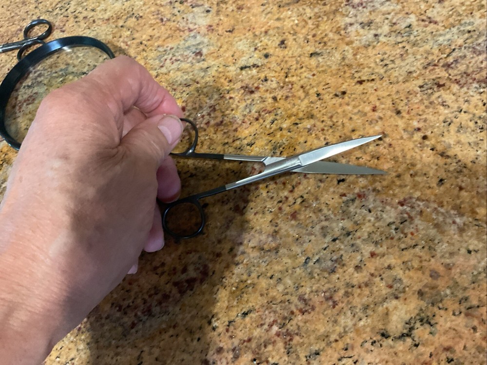 Curved Scissors Mailed First Class