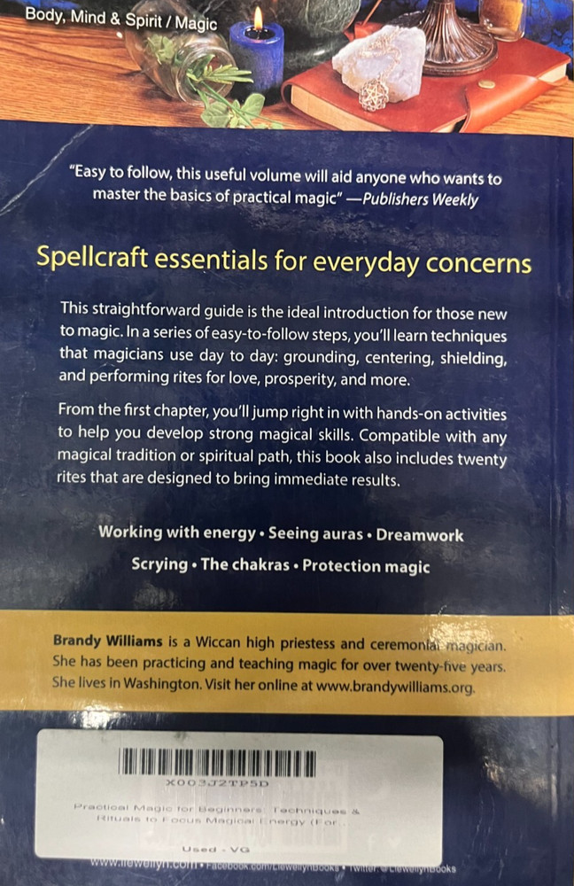 Practical Magic for Beginners by Brandy Williams book