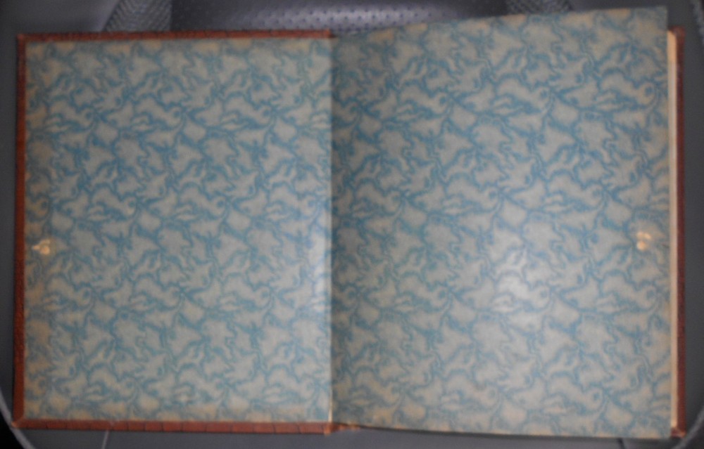 Brown stockbook; 12 /2 pages each with 11 pockets [total 264 pockets]