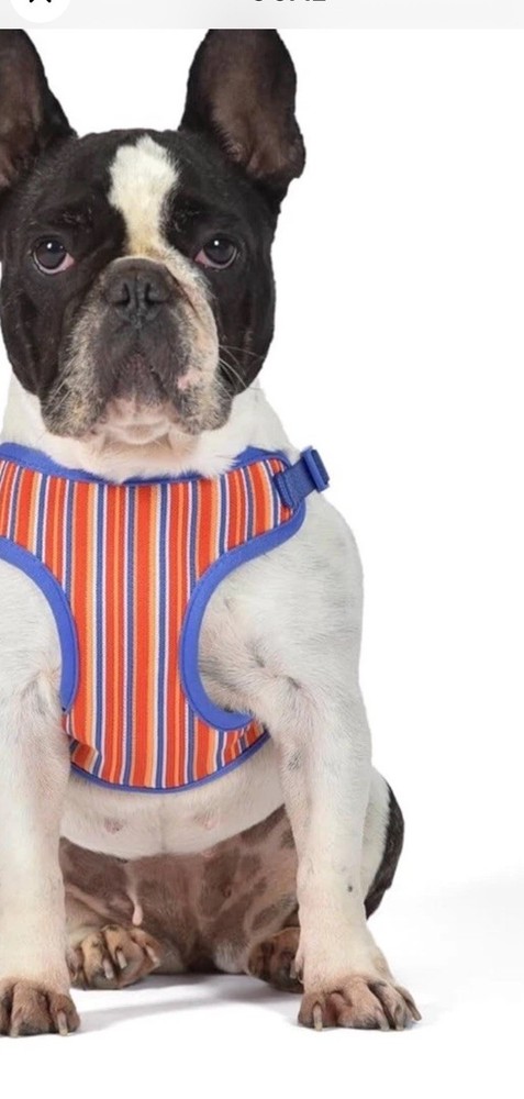 Dog Harness Size Large Striped 45 Individual Harness
