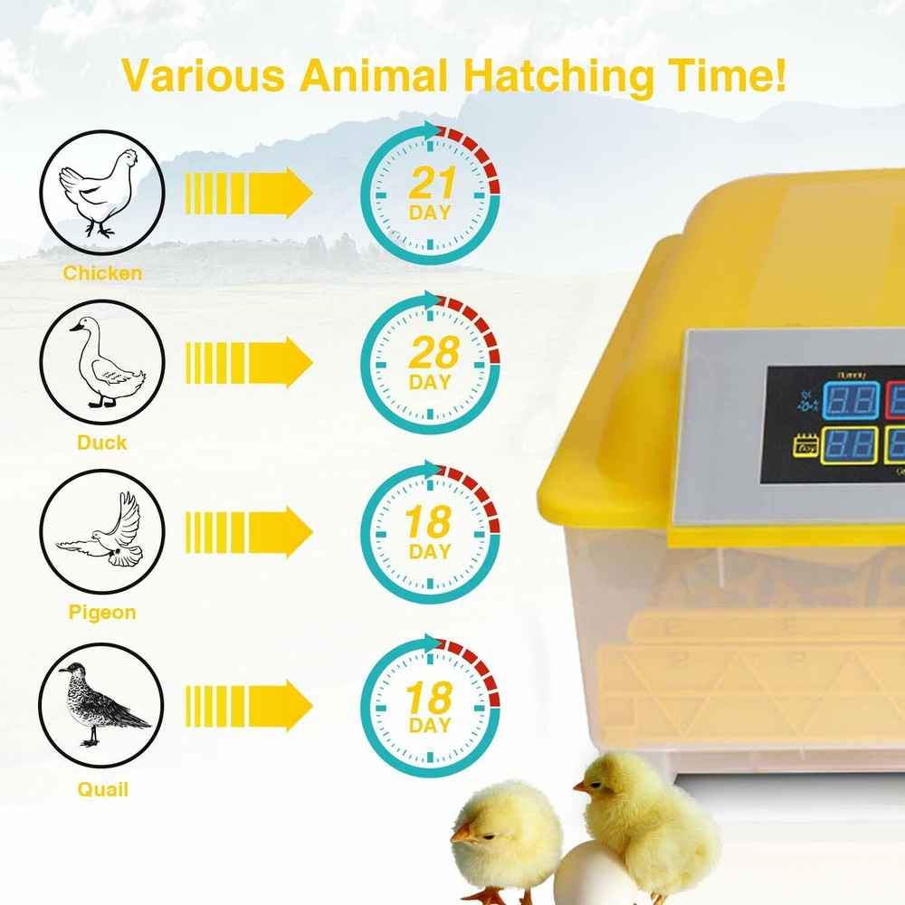 Egg Bird Incubator 48 Eggs Automatic Poultry Hatcher Breeder Digital Display