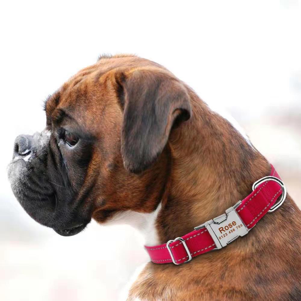 Personalized dog collar engraved custom ID Tag Name Number Nylon reflective S-XL