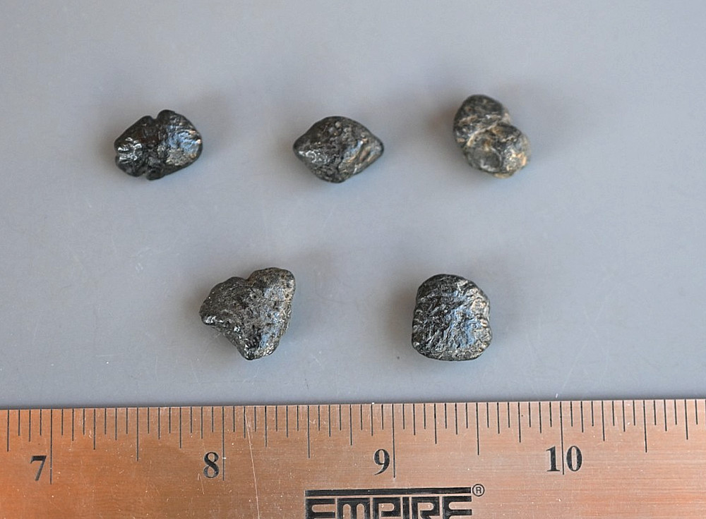 5 Fossil Ground Sloth Dermal Ossicles