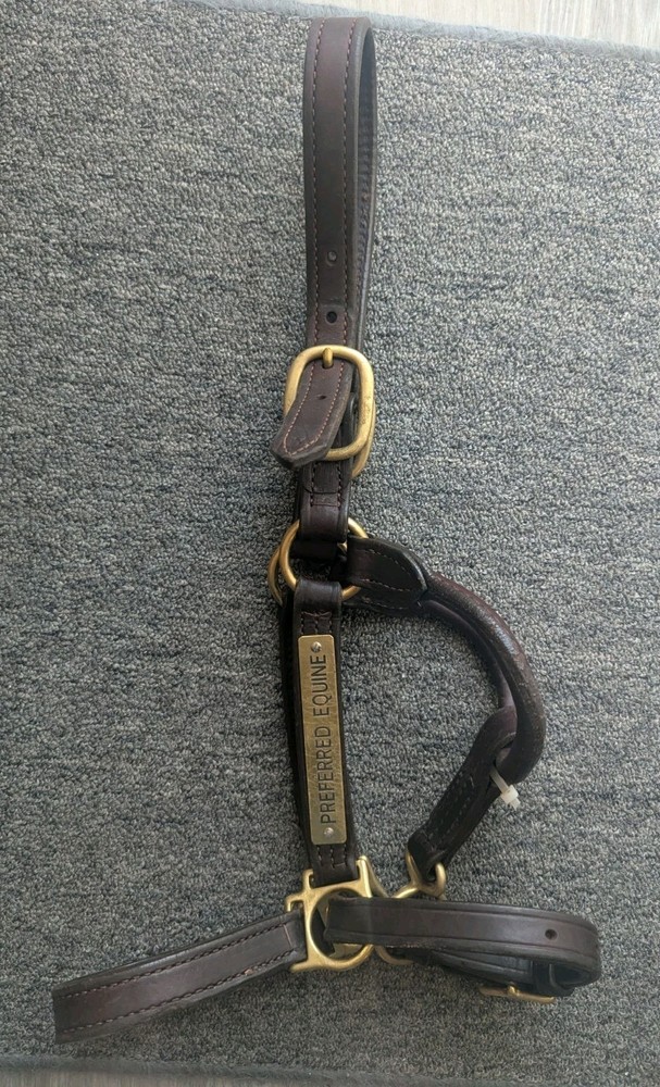 used leather horse halter