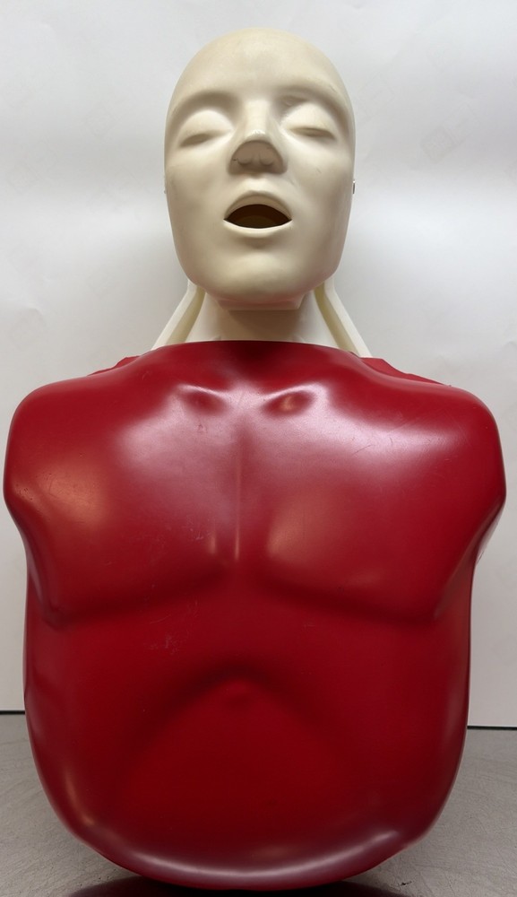 Lifeform Nasco Basic Buddy CPR Training Adult