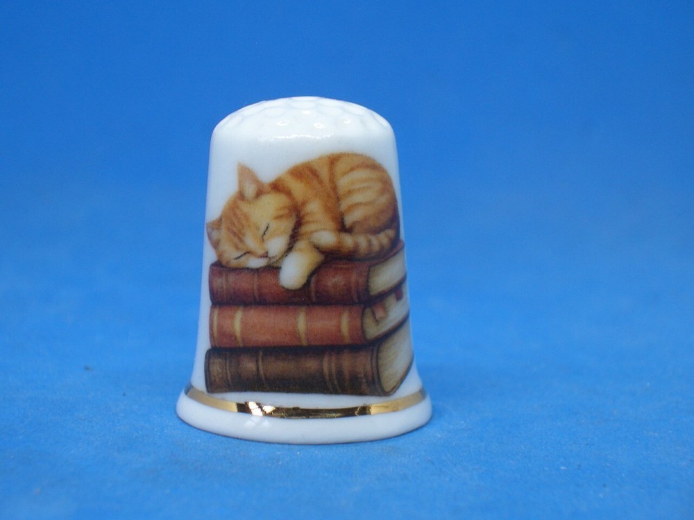 Birchcroft China Thimble -- Reading Cat with Dome Gift Box