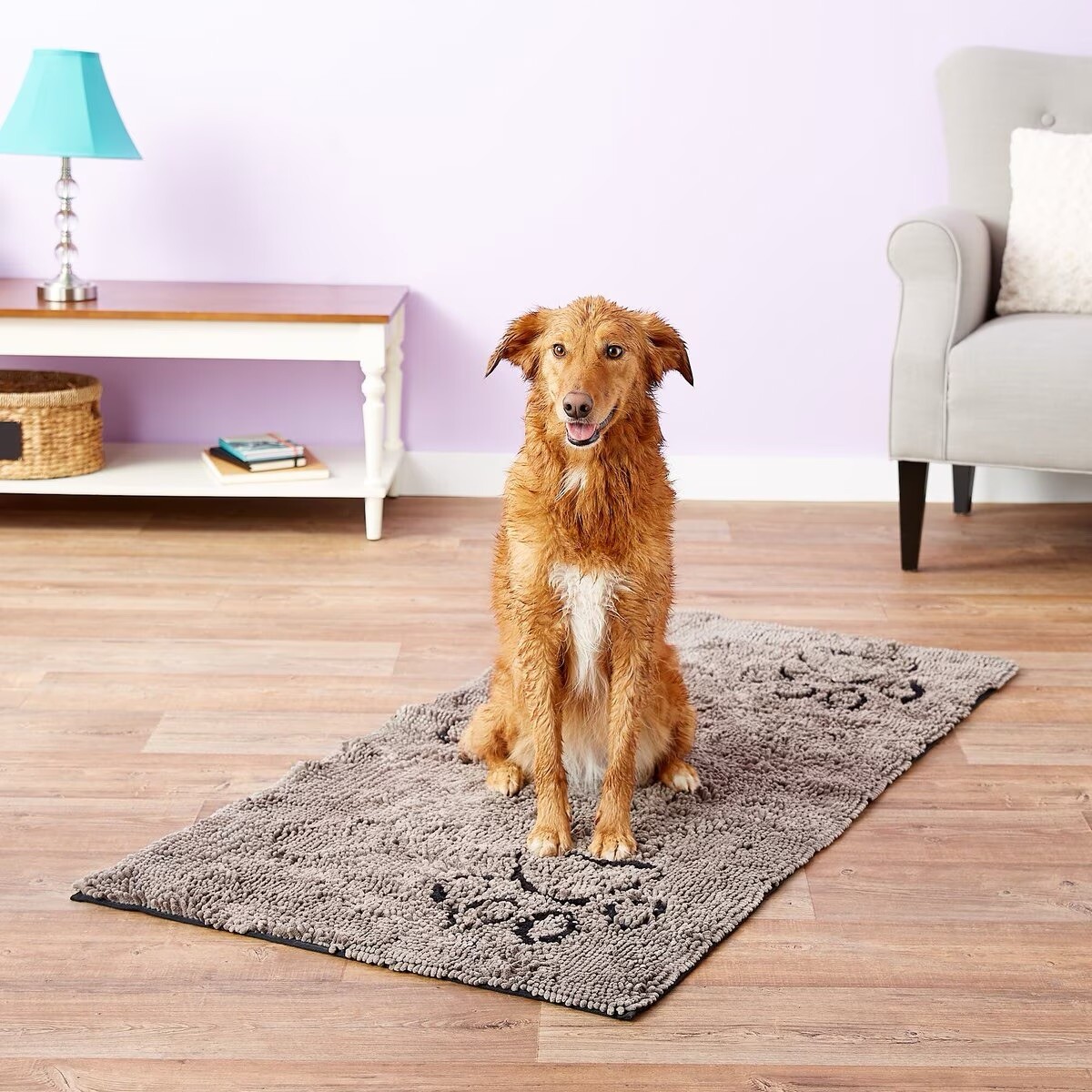 Dog Gone Smart “Dirty Dog” Door Mat Runner Grey 60”x 30”