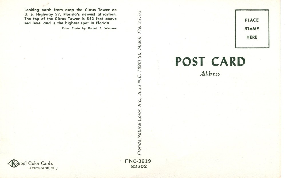 FLORIDA'S ORANGE GROVES - PC7052