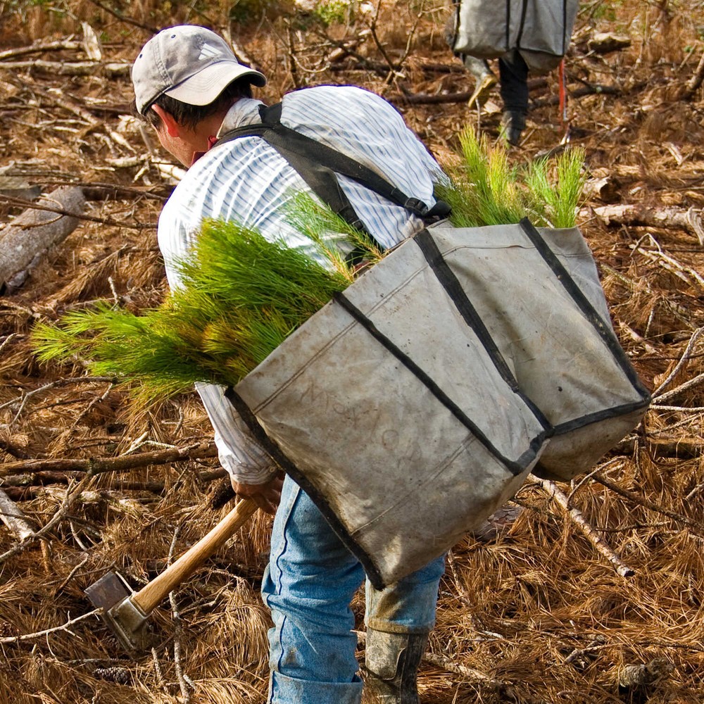 Jim-Gem Professional Model Tree Planting Bag with Split Bag