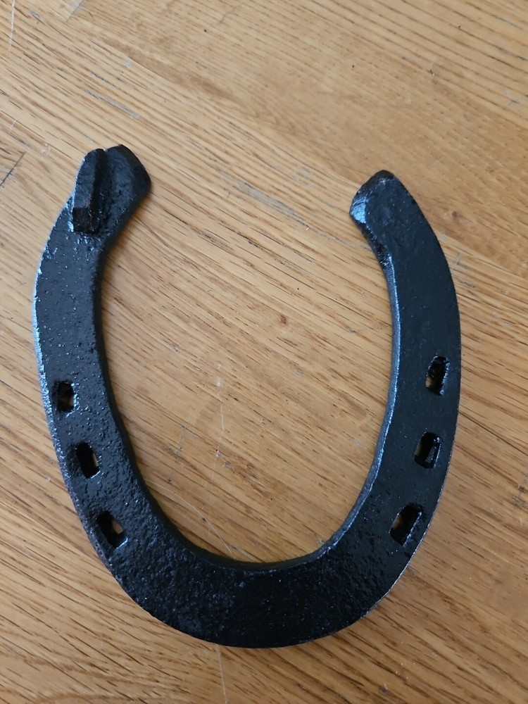 Black Decorative Horse Shoes