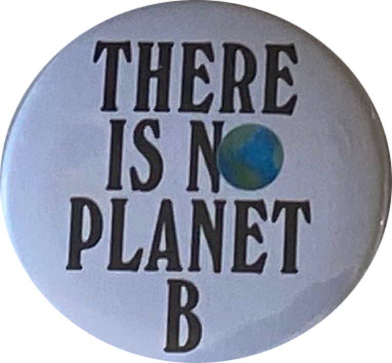 Climate Change Pins - Stop Climate Change buttons - Set of 8, 2.25 inches