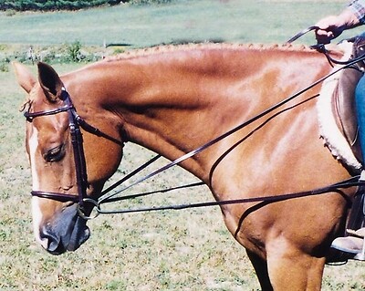 Tory Leather Draw Reins with Loop End