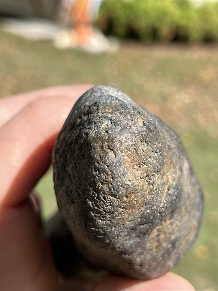 Very Rare Solid Unknown Fossil Segment-Not Modern-read description