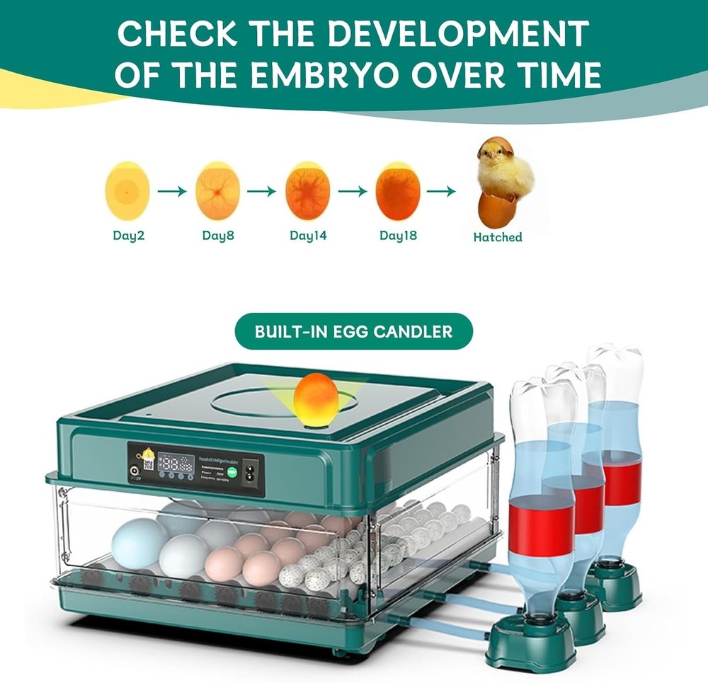 Automatic Egg Incubator 12-38 Eggs Automatic Poultry Intelligent Incubator fo...