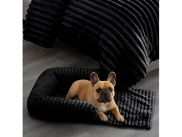 Riverbrook Home Everett Long Sofa-Style Pet Bed, Black, Small