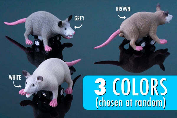Racing Possums