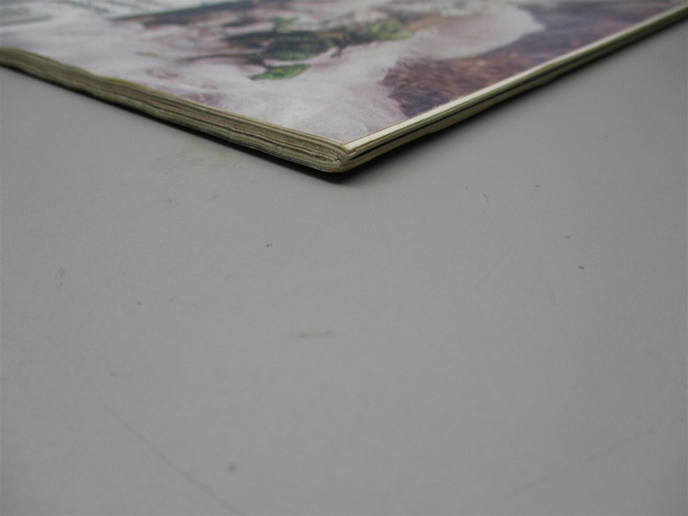 Casus Belli: Issue # 48