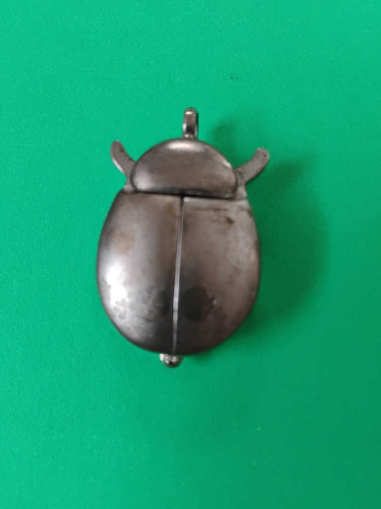 Why Me? Cicada Pendant Watch Untested Needs Battery