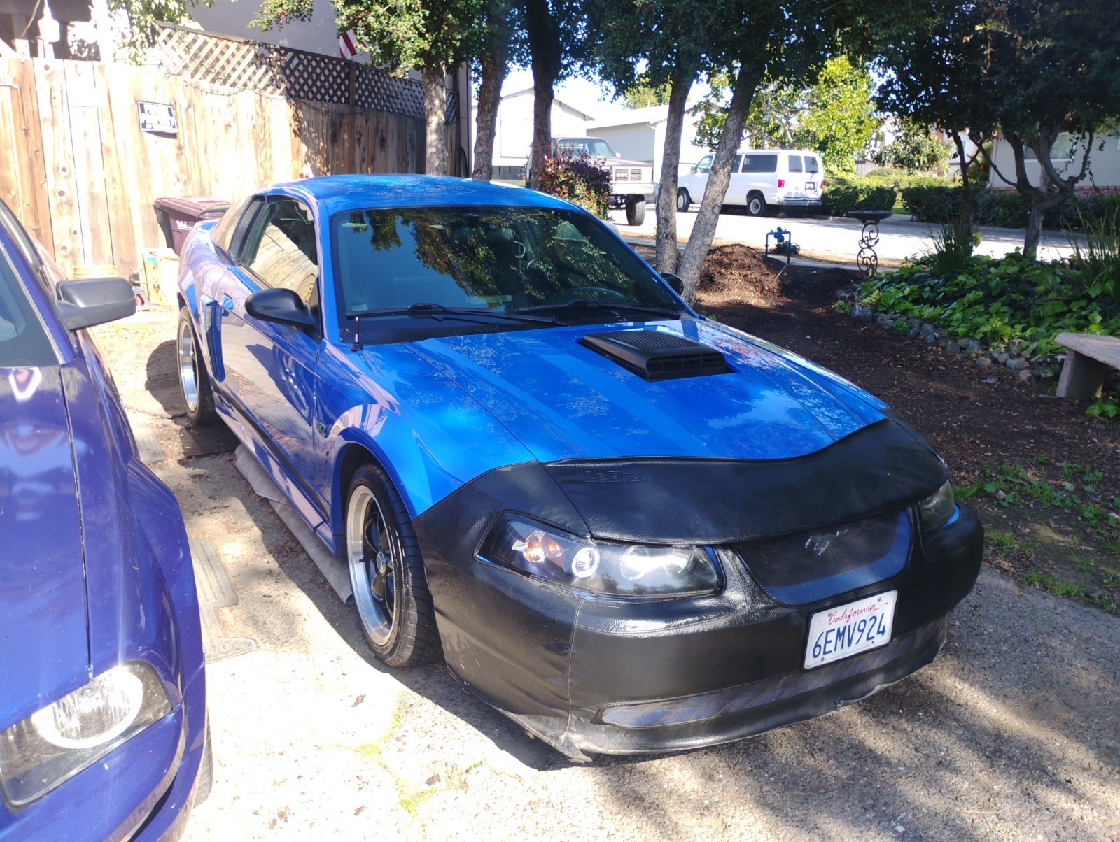 Ford Mustang Mach 1 2003 Brochure/Information Sheet