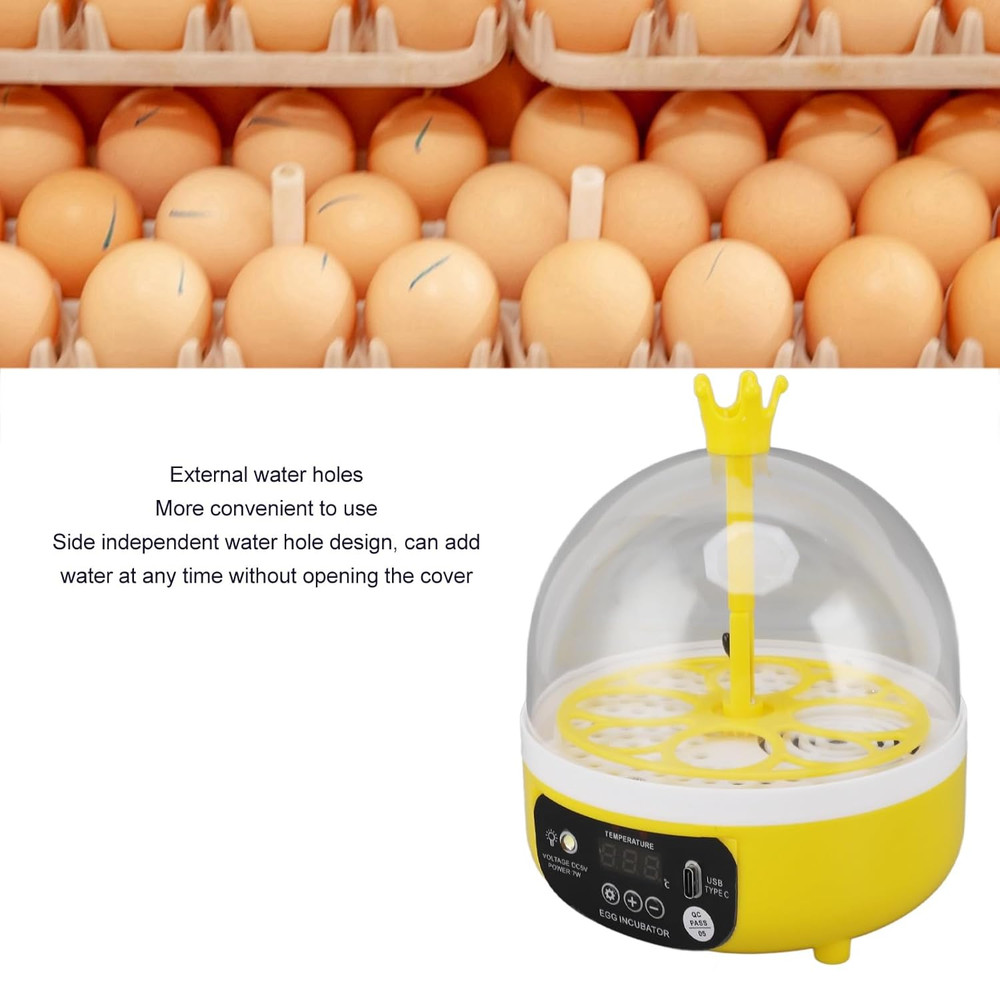 Egg Incubator, Automatic Temperature Control 4 Eggs Chicken Egg Incubator Portab
