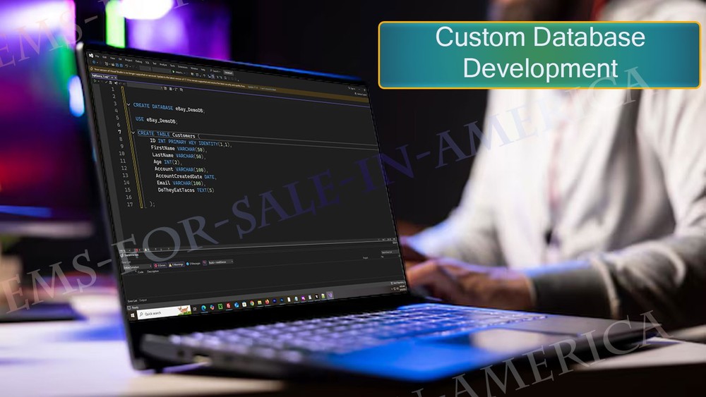 Service: Custom Database Development Consultation Specialty Service