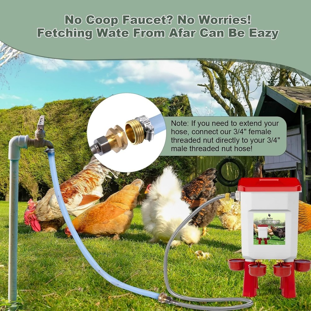 Automatic Chicken Waterer Large Chicken Waterer System Pou