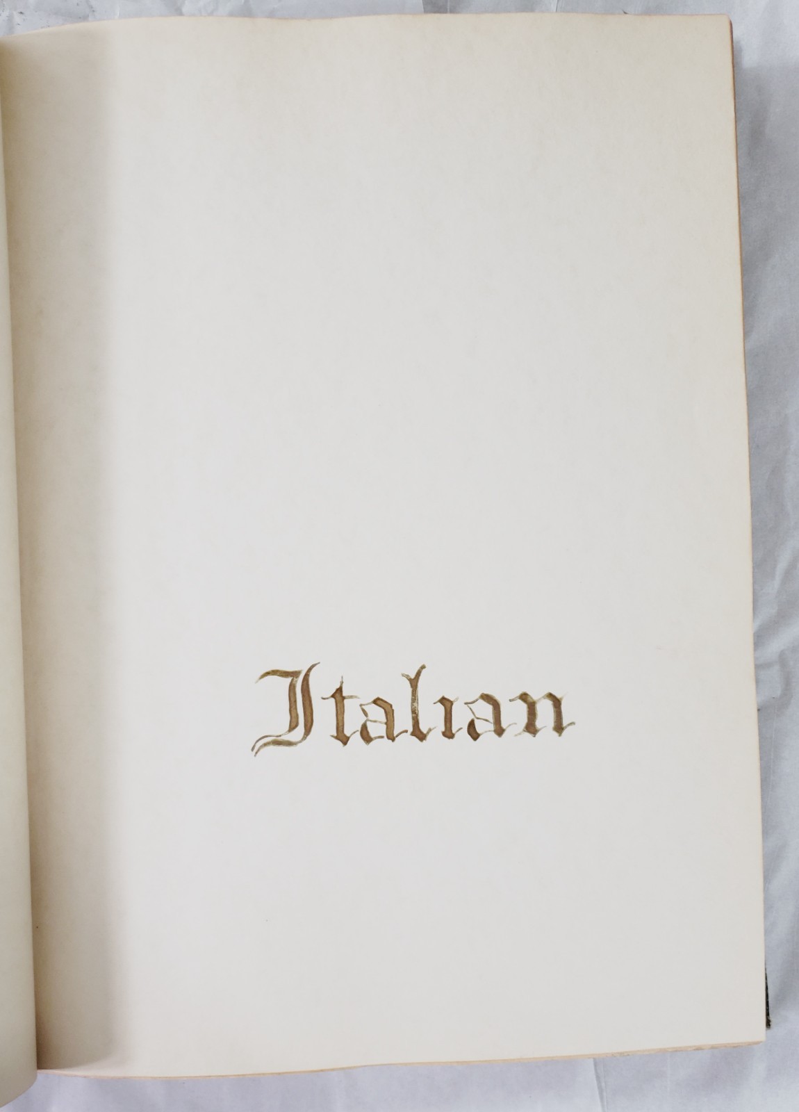 Antique Rare Manuscript Art Masters Hand Written History Commentary Illustrated