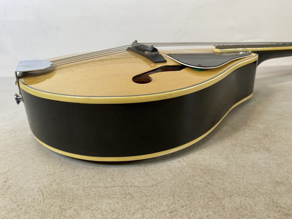 Mandolin BB B415 Instrument case & Accessories 41S9