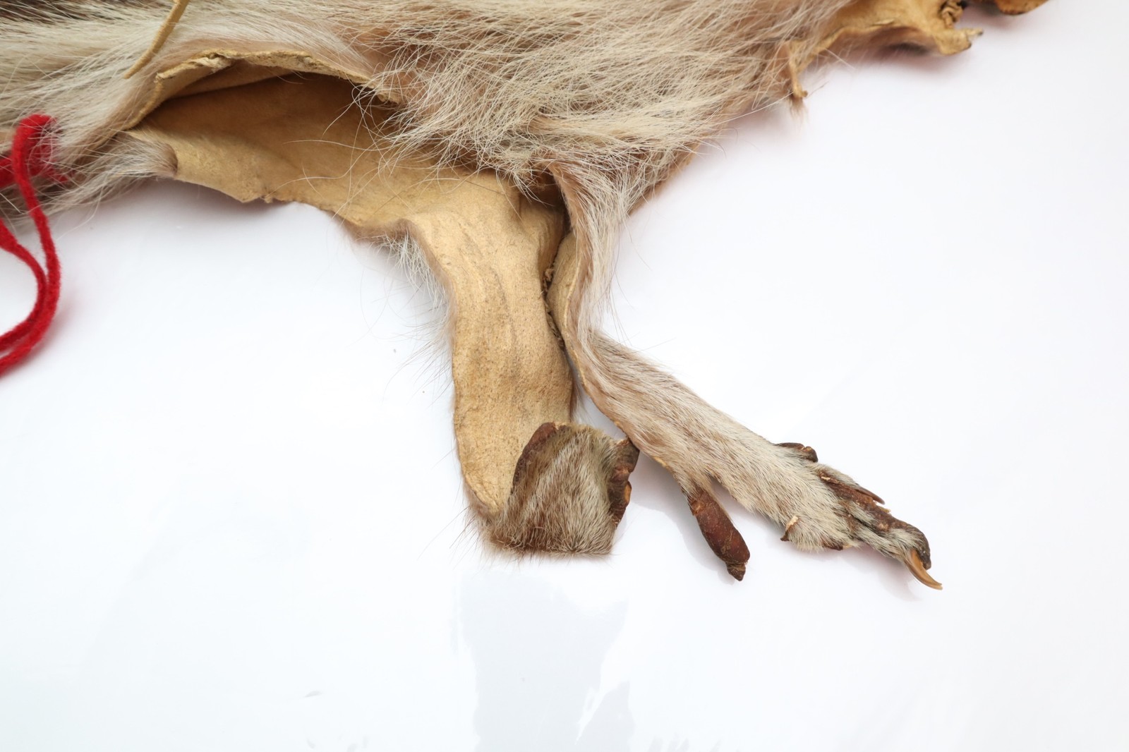 NATIVE AMERICAN INDIAN INNER Badger HIDE LEATHER POUCH BAG PLAINS