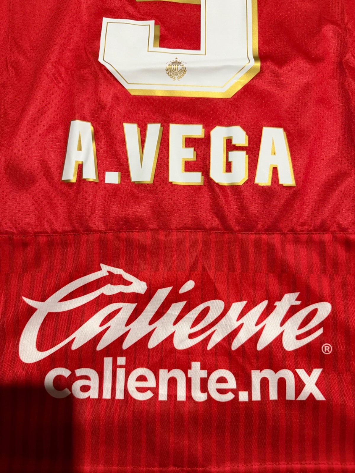 Toluca F.C 2025/26 Alexis Vega BICAMPEÒN Home Red Jersey S-4X PLEASE READ DESCR