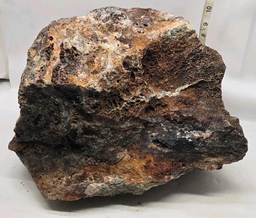 Large Heavy Raw Chunk Of Arizona Silver Copper Gold Ore Specimen 74.4 Lbs.