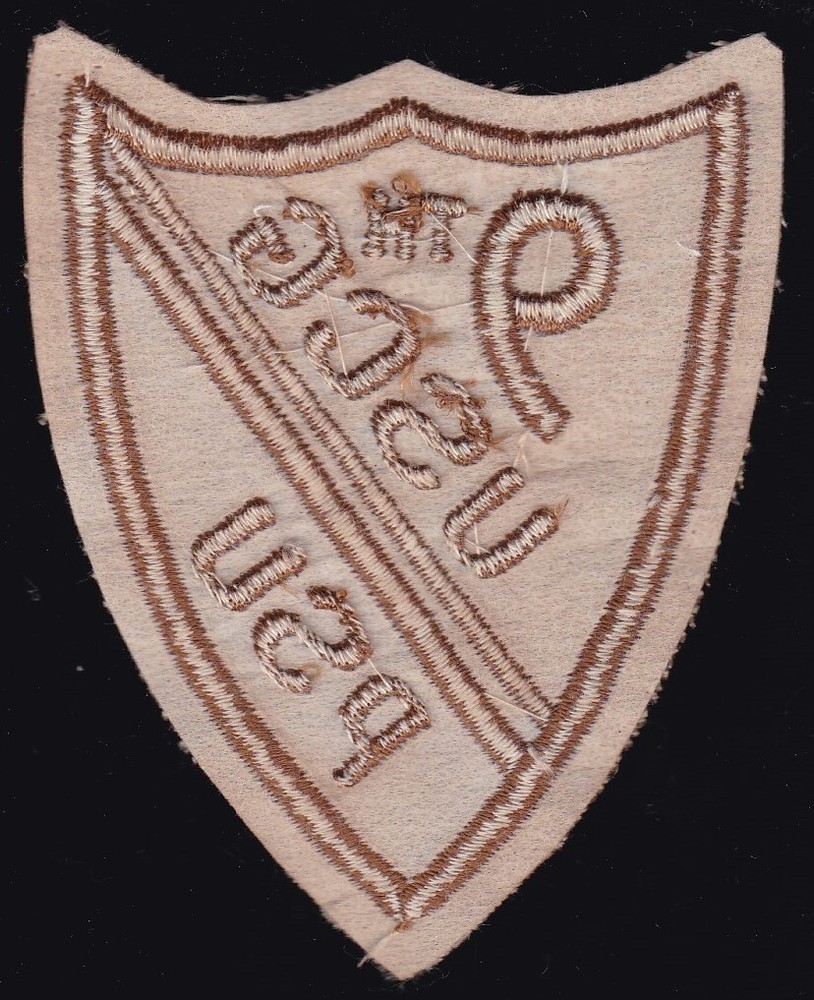 USCG Coast Guard 9th Port Security Unit PSU Patch N-20