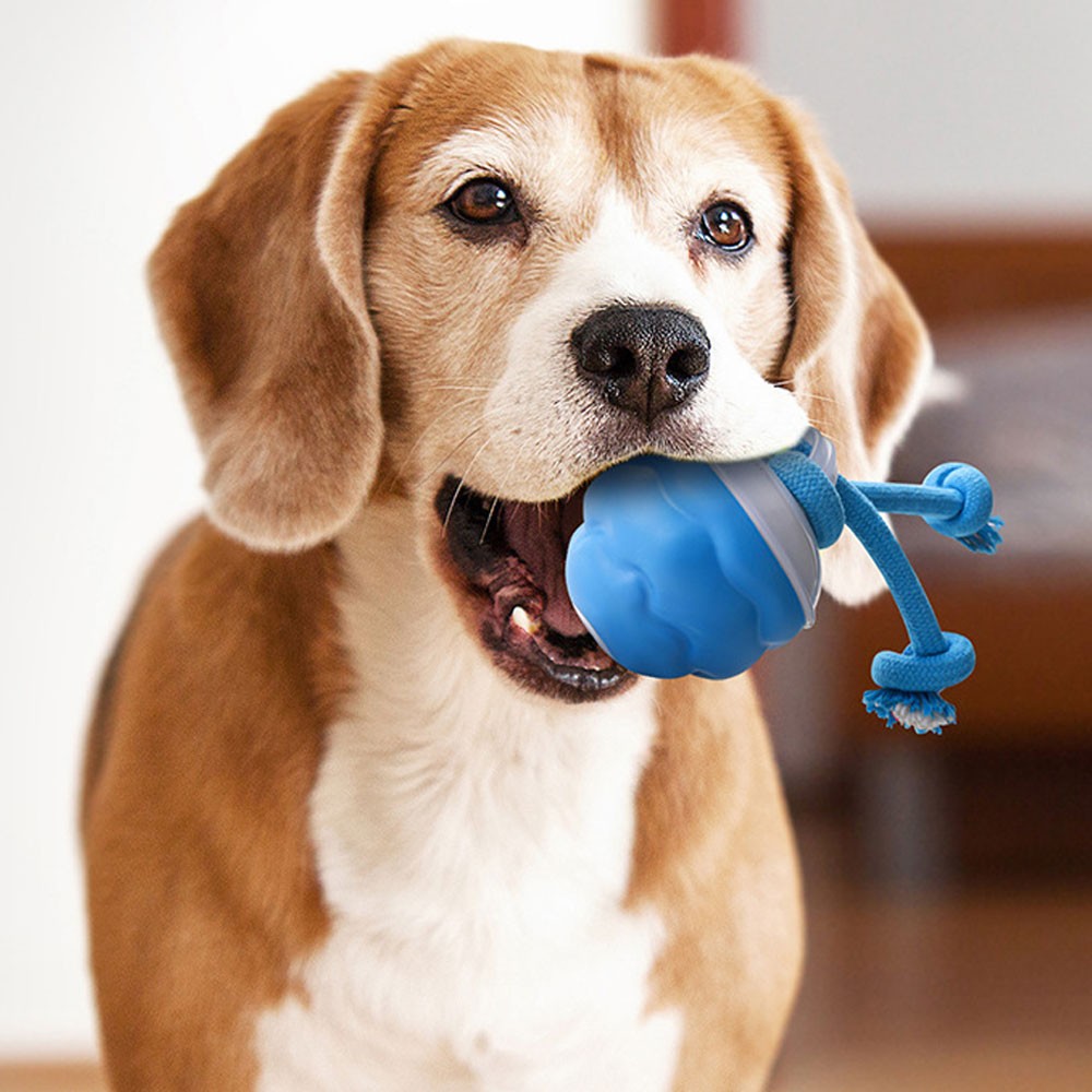 Smart Dog Toys Interactive TeasiKU Ball With Motion Activated Automatic Moving